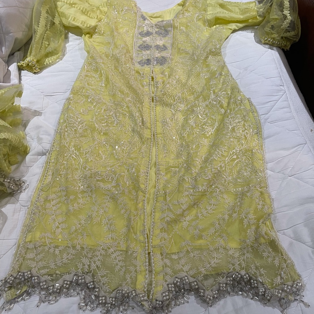 Pakistani branded dress - Picture 5 of 16